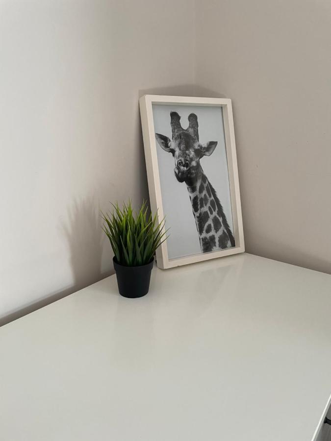 The Corner House - Modern Chesterfield Town Centre Apartments エクステリア 写真